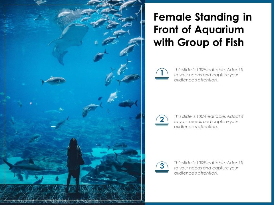 Female_Standing_In_Front_Of_Aquarium_With_Group_Of_Fish_Ppt_PowerPoint_Presentation_File_Templates_PDF_Slide_1.jpg