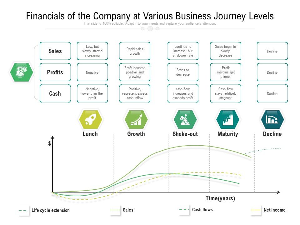 Financials_Of_The_Company_At_Various_Business_Journey_Levels_Ppt_PowerPoint_Presentation_File_Portrait_PDF_Slide_1.jpg
