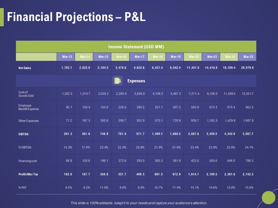 Firm_Capability_Assessment_Financial_Projections_Pandl_Ppt_Summary_Microsoft_PDF_Slide_1.jpg