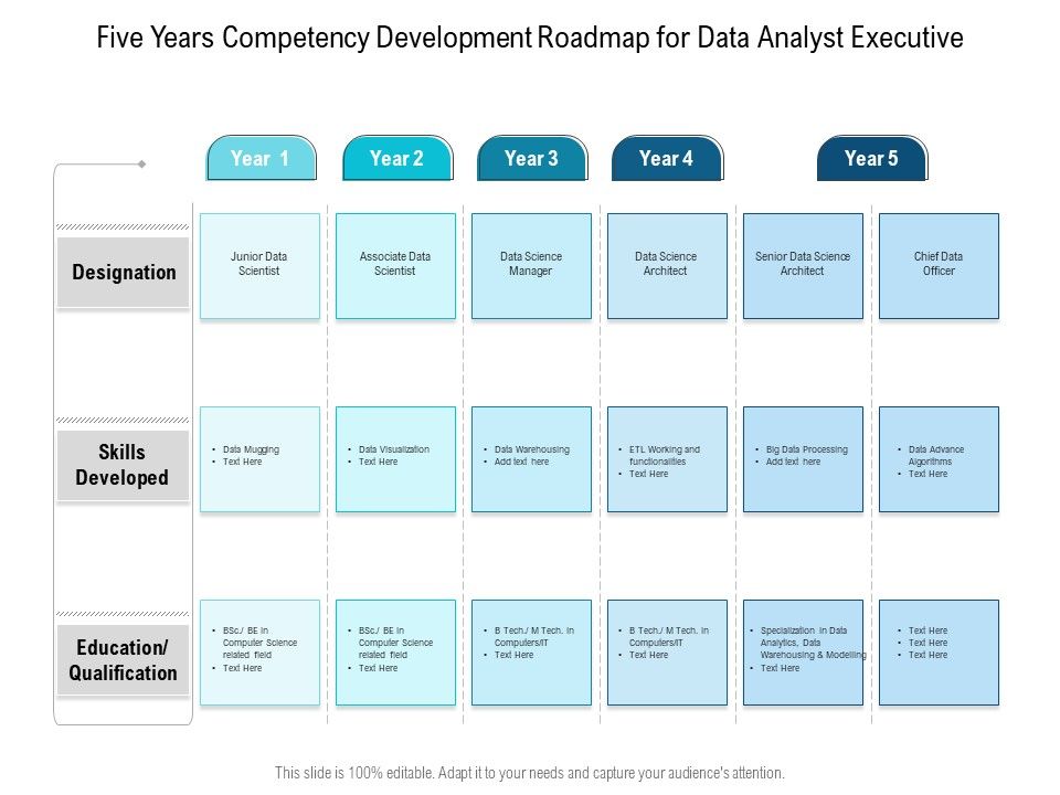 Five_Years_Competency_Development_Roadmap_For_Data_Analyst_Executive_Demonstration_Slide_1.jpg