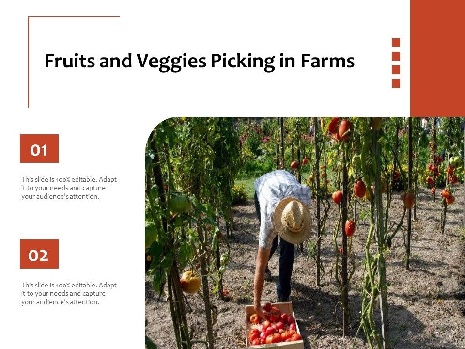Fruits_And_Veggies_Picking_In_Farms_Ppt_PowerPoint_Presentation_File_Maker_PDF_Slide_1.jpg