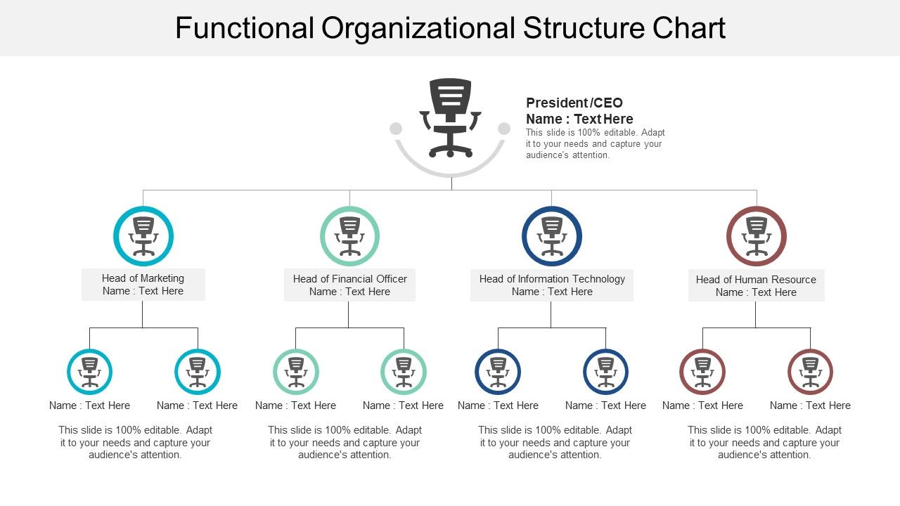 Functional_Organizational_Structure_Chart_Ppt_PowerPoint_Presentation_Pictures_Diagrams_Slide_1.jpg