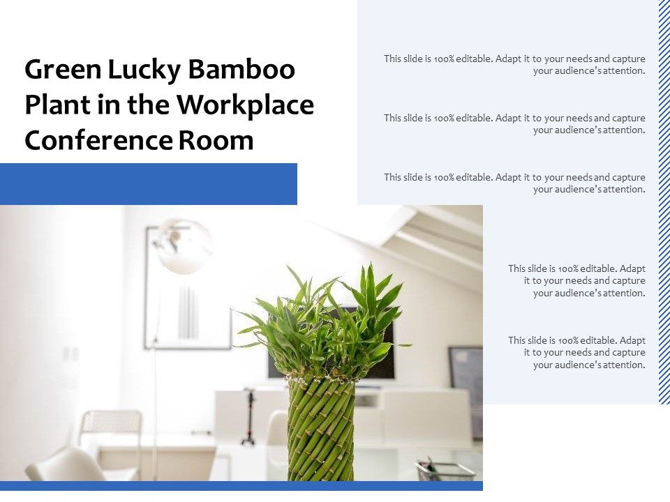Green_Lucky_Bamboo_Plant_In_The_Workplace_Conference_Room_Ppt_PowerPoint_Presentation_Pictures_Background_Designs_PDF_Slide_1.jpg