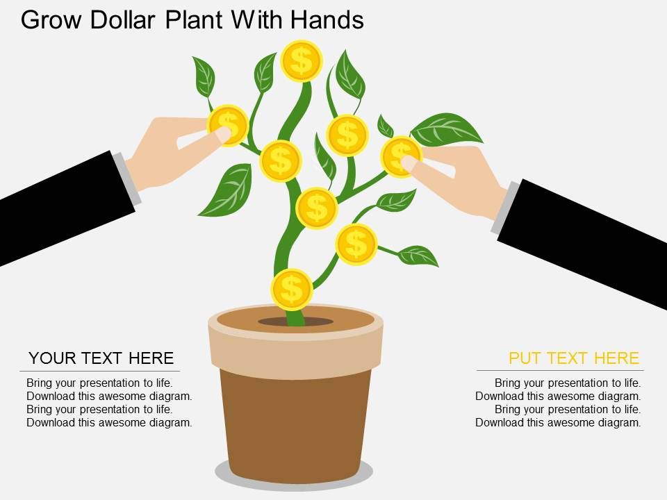 Grow_Dollar_Plant_With_Hands_Powerpoint_Template_1.jpg