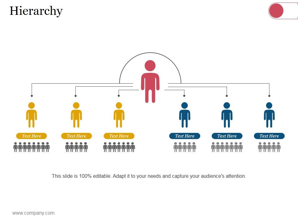 Hierarchy_Ppt_PowerPoint_Presentation_Portfolio_Infographic_Template_Slide_1.jpg