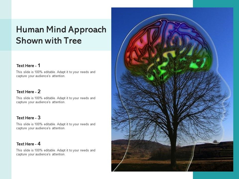 Human_Mind_Approach_Shown_With_Tree_Ppt_PowerPoint_Presentation_Information_PDF_Slide_1.jpg