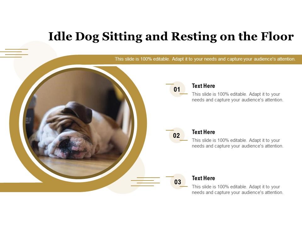 Idle_Dog_Sitting_And_Resting_On_The_Floor_Ppt_PowerPoint_Presentation_File_Tips_PDF_Slide_1.jpg