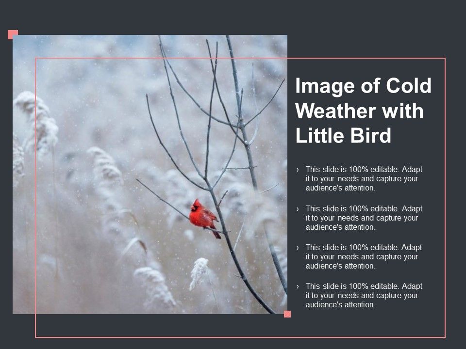 Image_Of_Cold_Weather_With_Little_Bird_Ppt_PowerPoint_Presentation_Gallery_Infographics_Slide_1.jpg