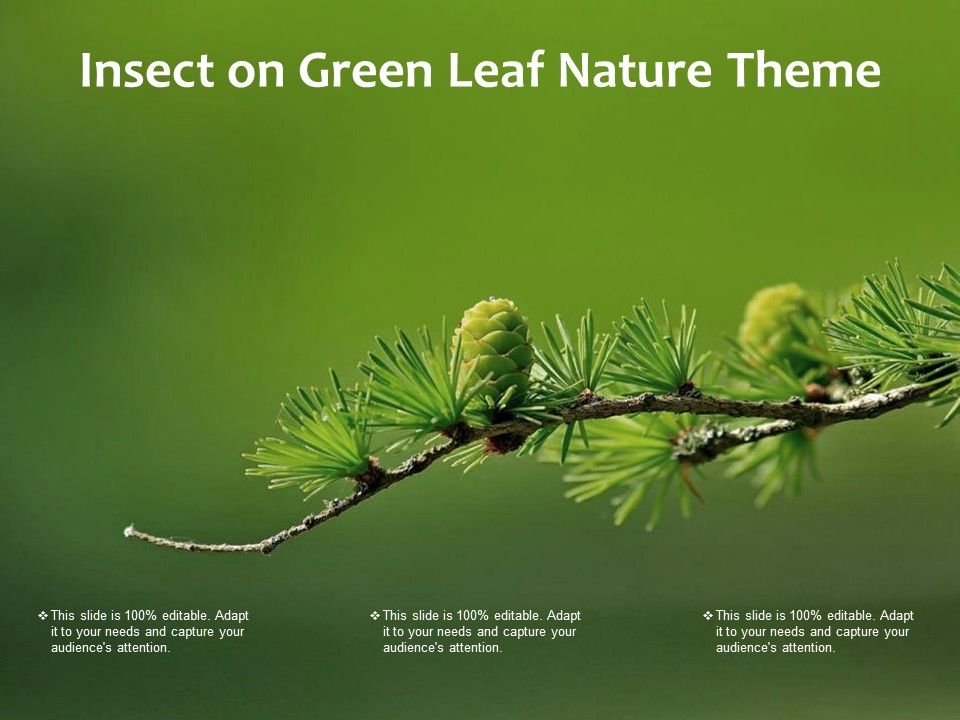Insect_On_Green_Leaf_Nature_Theme_Ppt_PowerPoint_Presentation_Gallery_Layout_Ideas_Slide_1.jpg