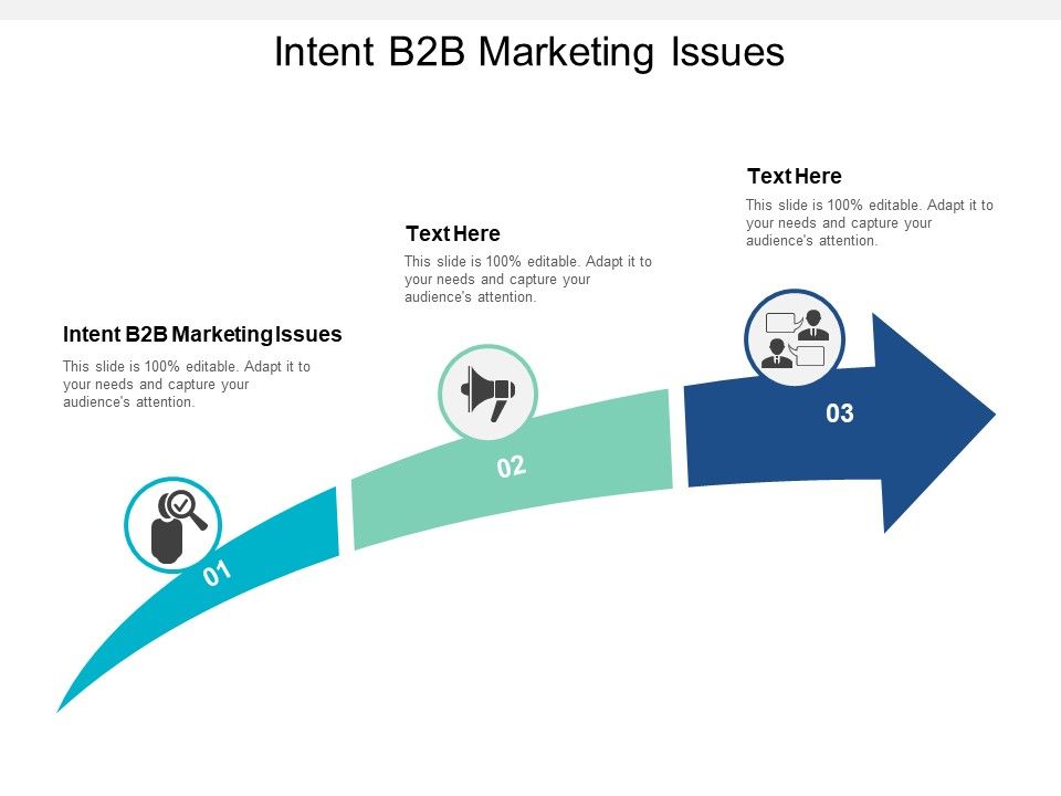 Intent_B2b_Marketing_Issues_Ppt_PowerPoint_Presentation_Ideas_Example_Introduction_Cpb_Slide_1.jpg