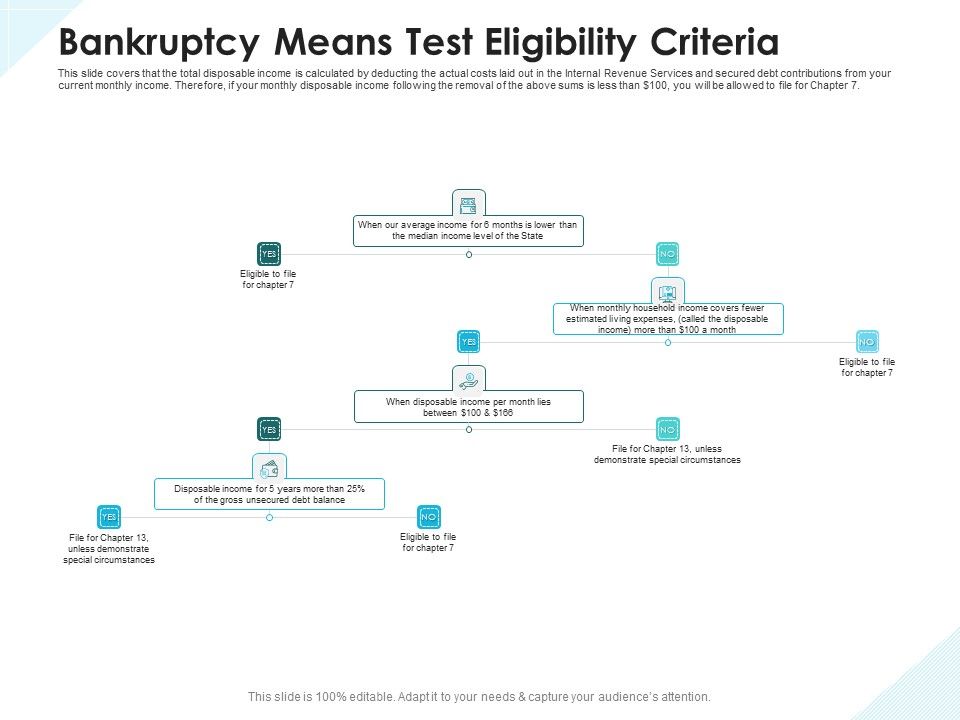 Issues_Which_Leads_To_Insolvency_Bankruptcy_Means_Test_Eligibility_Criteria_Template_PDF_Slide_1.jpg