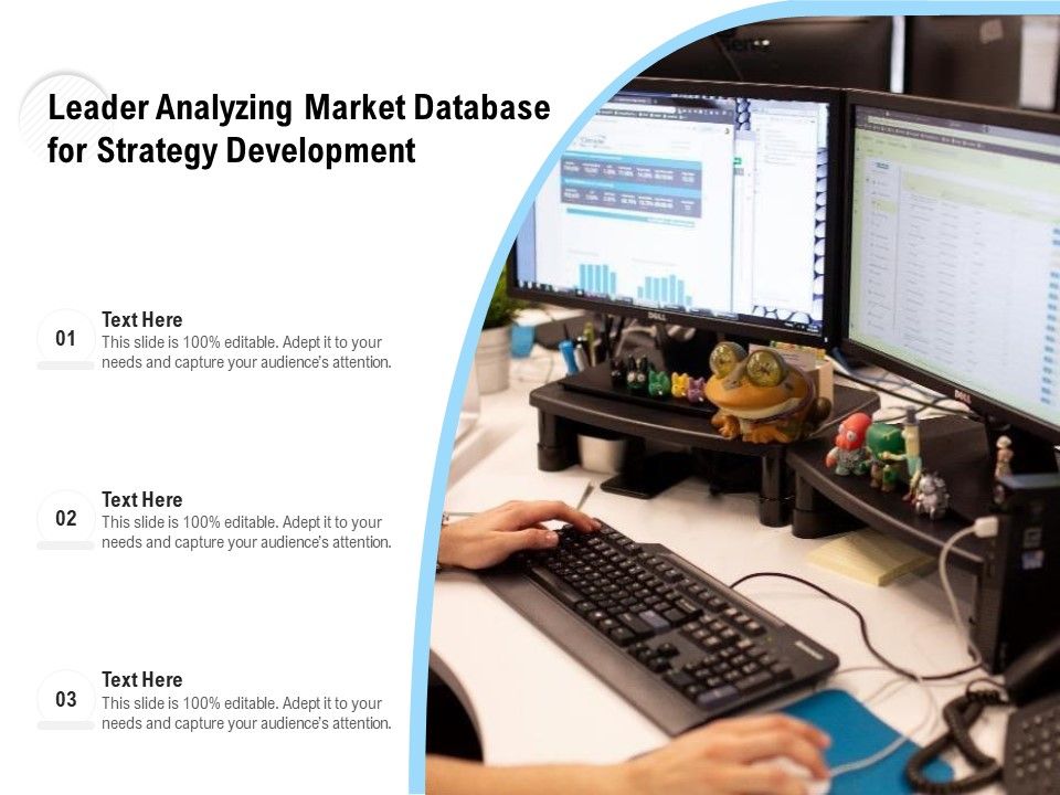 Leader_Analyzing_Market_Database_For_Strategy_Development_Ppt_PowerPoint_Presentation_Gallery_Files_PDF_Slide_1.jpg