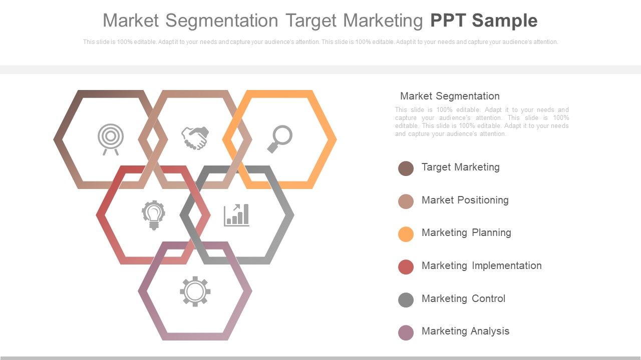 Market_Segmentation_Target_Marketing_Ppt_Sample_Slide_1.jpg