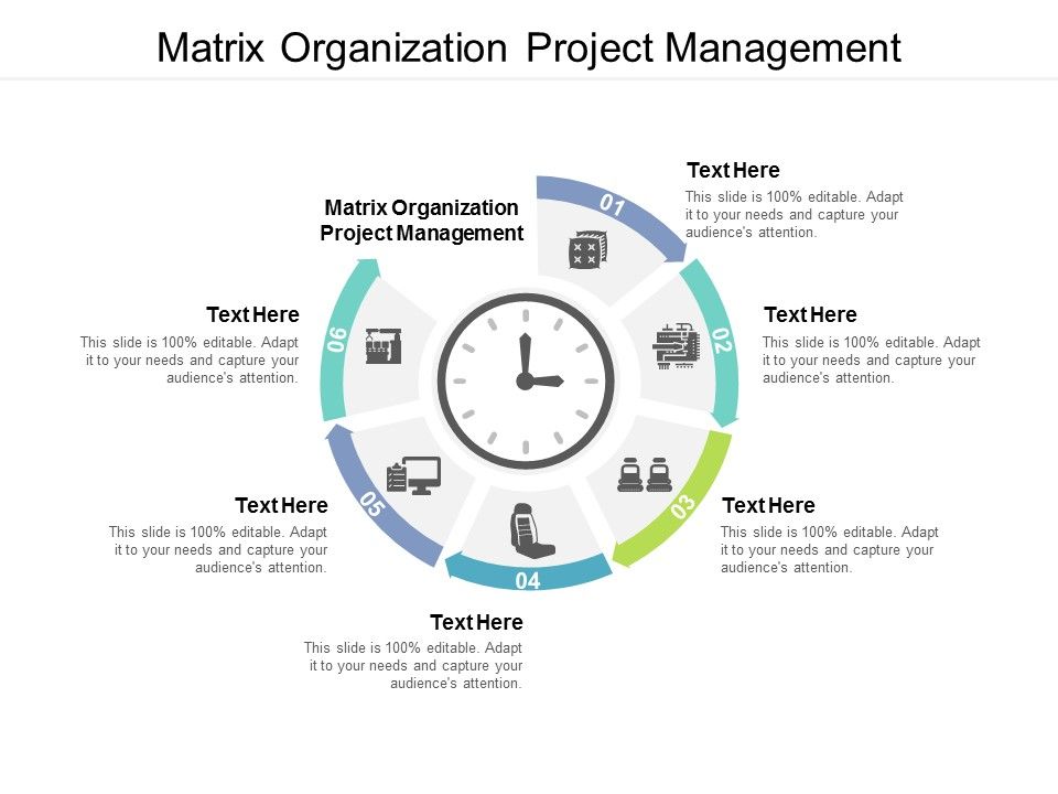 Matrix_Organization_Project_Management_Ppt_PowerPoint_Presentation_Portfolio_Templates_Cpb_Slide_1.jpg