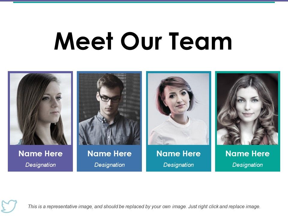 Meet_Our_Team_Ppt_PowerPoint_Presentation_Portfolio_Graphics_Slide_1.jpg