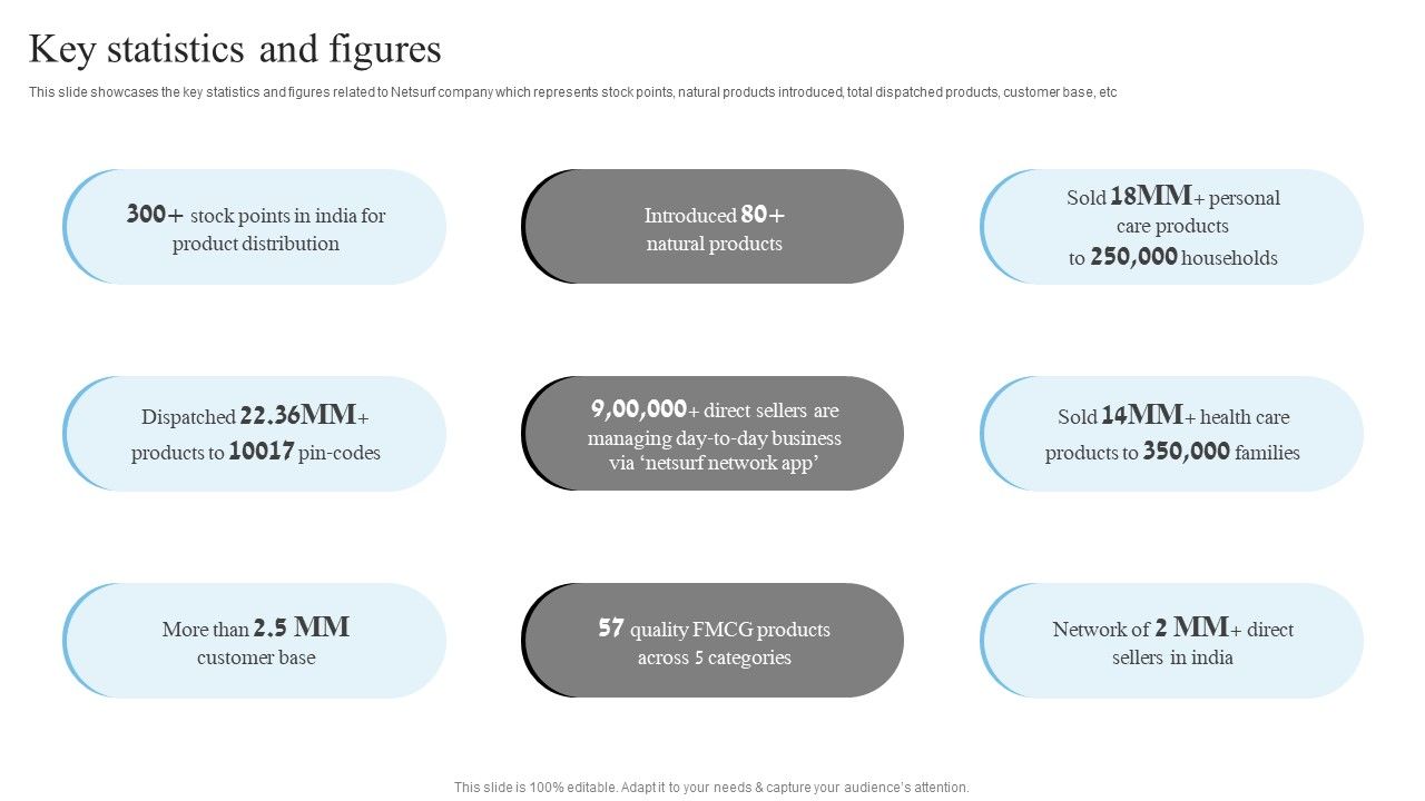 Network_Marketing_Company_Profile_Key_Statistics_And_Figures_Professional_PDF_Slide_1.jpg