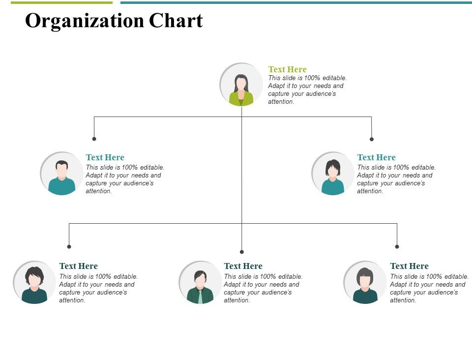 Organization_Chart_Ppt_PowerPoint_Presentation_Infographics_Guide_Slide_1.jpg