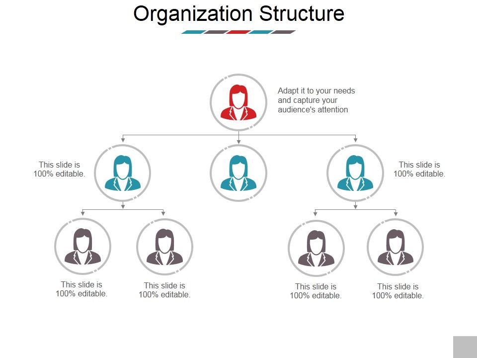 Organization_Structure_Ppt_PowerPoint_Presentation_Inspiration_Gridlines_Slide_1.jpg