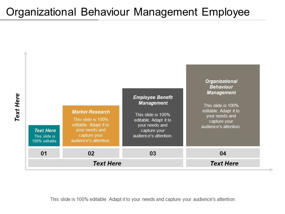 Organizational_Behaviour_Management_Employee_Benefit_Management_Market_Research_Ppt_PowerPoint_Presentation_Gallery_Examples_Slide_1.jpg