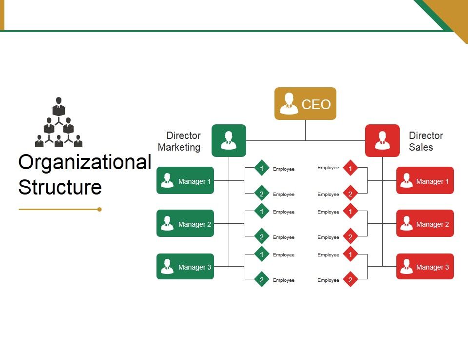 Organizational_Structure_Ppt_PowerPoint_Presentation_Model_Objects_Slide_1.jpg