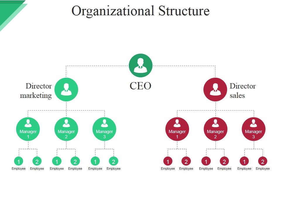 Organizational_Structure_Ppt_PowerPoint_Presentation_Show_Slides_Slide_1.jpg