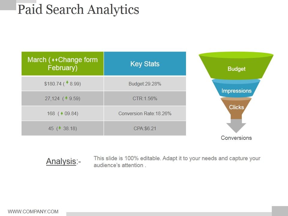 Paid_Search_Analytics_Ppt_PowerPoint_Presentation_Show_Slide_Slide_1.jpg