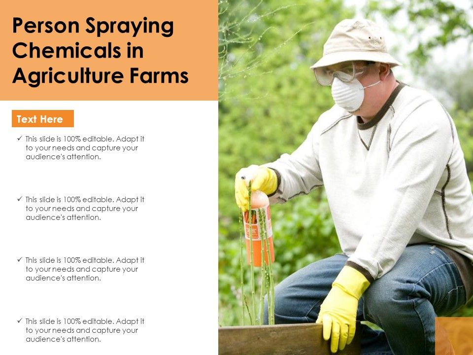 Person_Spraying_Chemicals_In_Agriculture_Farms_Ppt_PowerPoint_Presentation_Pictures_Display_PDF_Slide_1.jpg