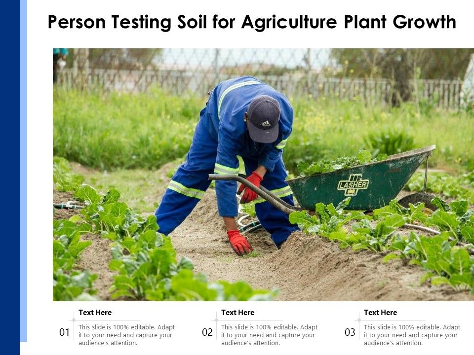 Person_Testing_Soil_For_Agriculture_Plant_Growth_Ppt_PowerPoint_Presentation_Gallery_Aids_PDF_Slide_1.jpg