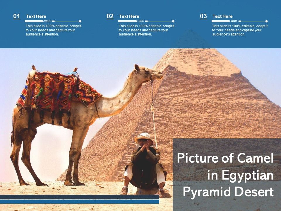 Picture_Of_Camel_In_Egyptian_Pyramid_Desert_Ppt_PowerPoint_Presentation_Gallery_Gridlines_PDF_Slide_1.jpg