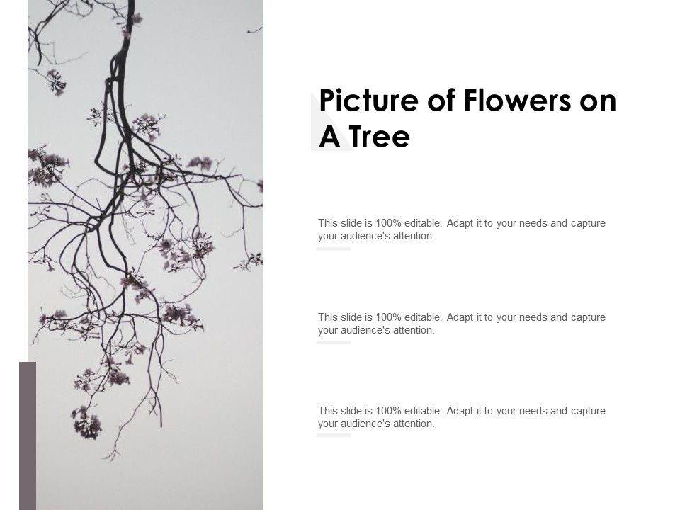 Picture_Of_Flowers_On_A_Tree_Ppt_PowerPoint_Presentation_Gallery_Format_Ideas_Slide_1.jpg