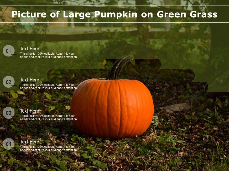 Picture_Of_Large_Pumpkin_On_Green_Grass_Ppt_PowerPoint_Presentation_File_Samples_PDF_Slide_1.jpg