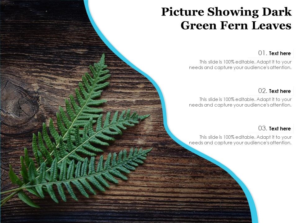 Picture_Showing_Dark_Green_Fern_Leaves_Ppt_PowerPoint_Presentation_Slides_Infographic_Template_PDF_Slide_1.jpg