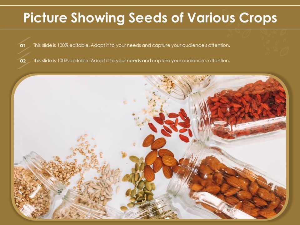 Picture_Showing_Seeds_Of_Various_Crops_Ppt_PowerPoint_Presentation_Show_Format_Ideas_PDF_Slide_1.jpg