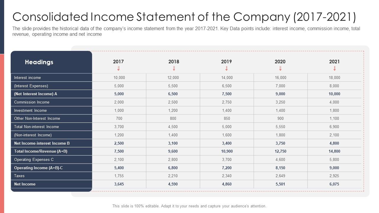 Pitch_Deck_For_Fundraising_From_Post_Market_Financing_Consolidated_Income_Statement_Of_The_Company_2017_To_2021_Rules_PDF_Slide_1.jpg