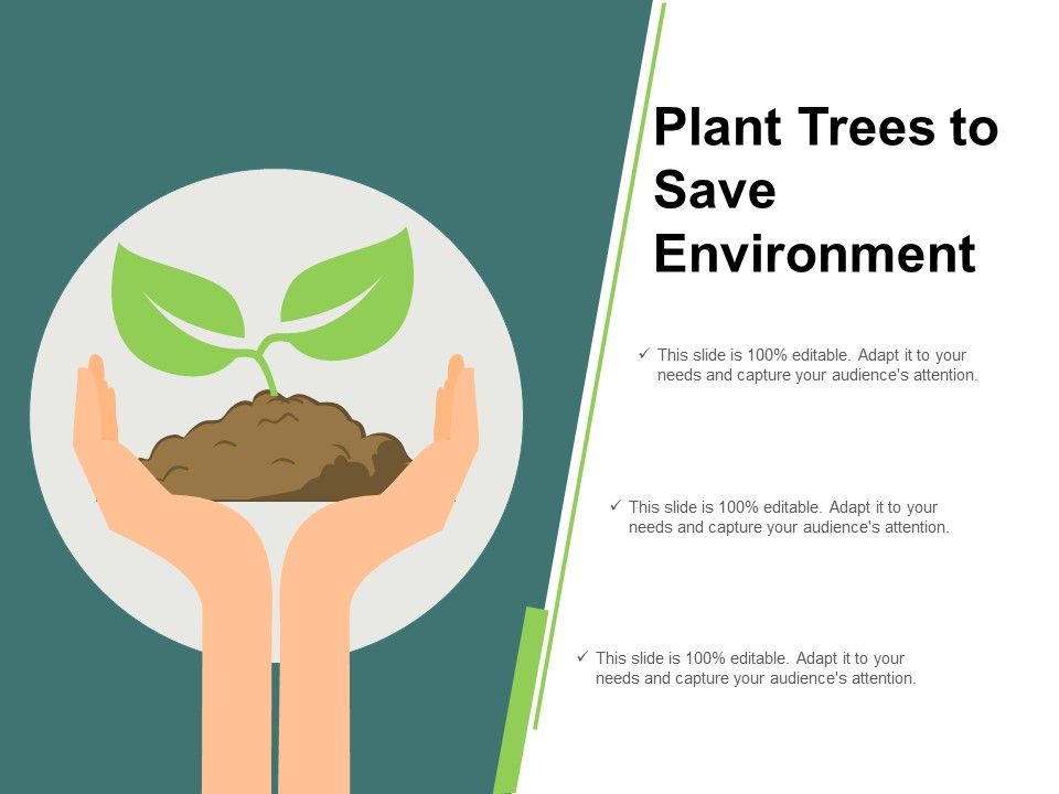 Plant_Trees_To_Save_Environment_Ppt_PowerPoint_Presentation_Styles_Tips_Slide_1.jpg