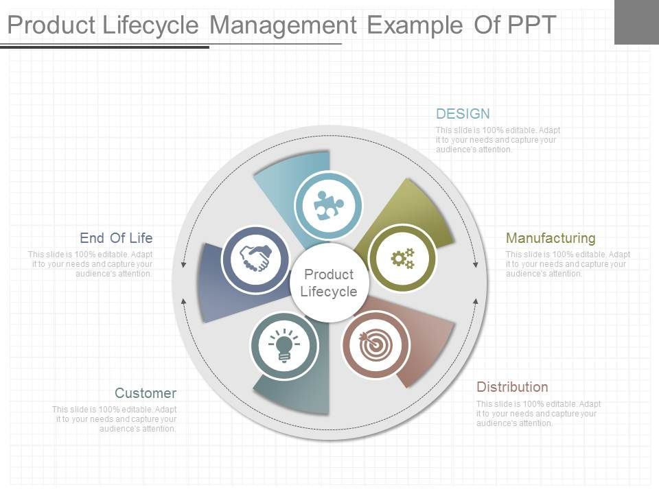 Product_Lifecycle_Management_Example_Of_Ppt_1.jpg