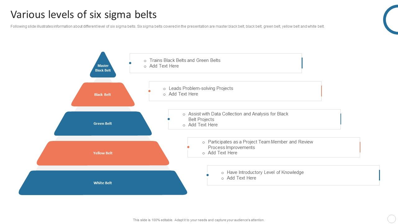 Quality_Control_Plan_Various_Levels_Of_Six_Sigma_Belts_Pictures_PDF_Slide_1.jpg