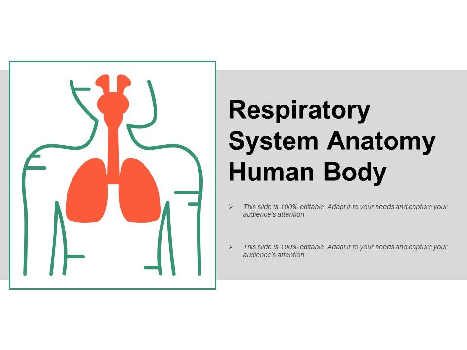 Respiratory_System_Anatomy_Human_Body_Ppt_PowerPoint_Presentation_Model_Example_Topics_Slide_1.jpg
