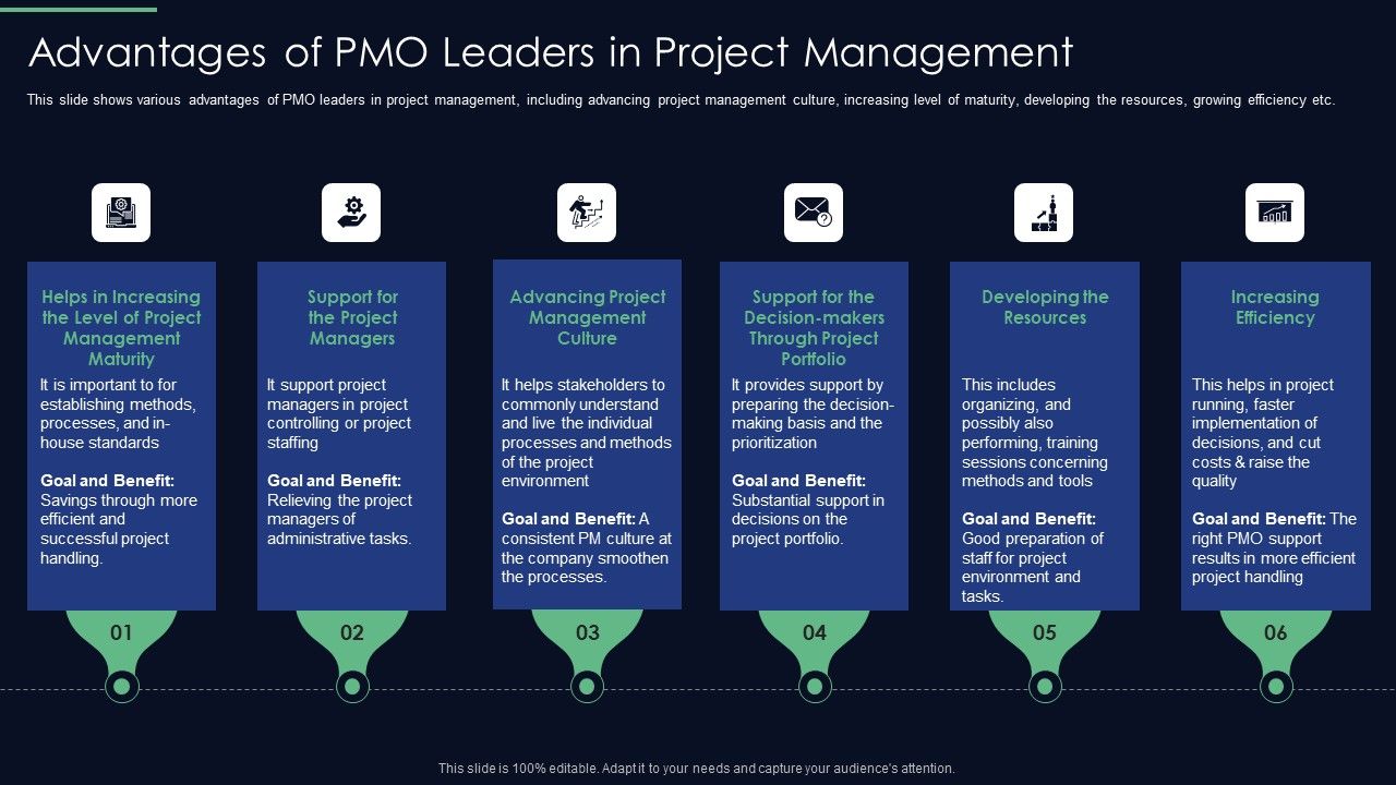 Responsibilities_Project_Management_Office_Implementing_Digitalization_Advantages_Of_PMO_Leaders_Portrait_PDF_Slide_1.jpg