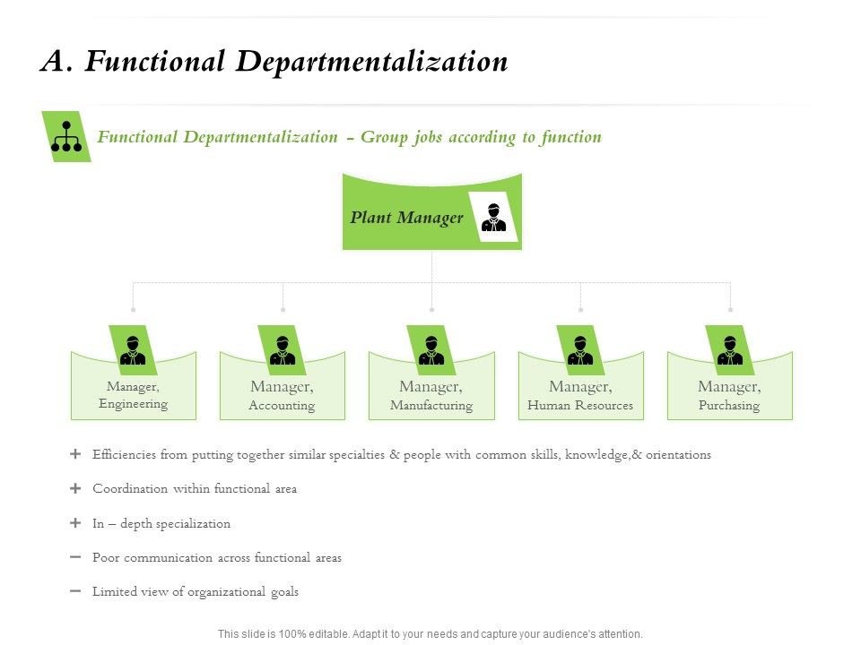 Select_Of_Organizational_Model_That_Supports_Your_Strategy_A_Functional_Departmentalization_Ppt_Portfolio_Show_PDF_Slide_1.jpg