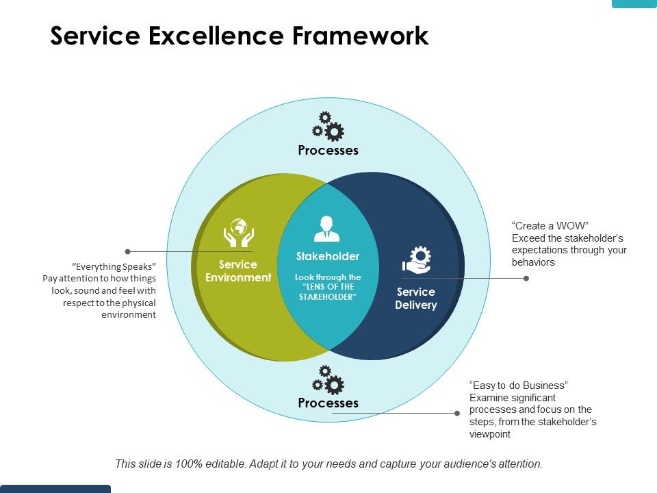 Service_Excellence_Framework_Ppt_PowerPoint_Presentation_Gallery_Picture_Slide_1.jpg