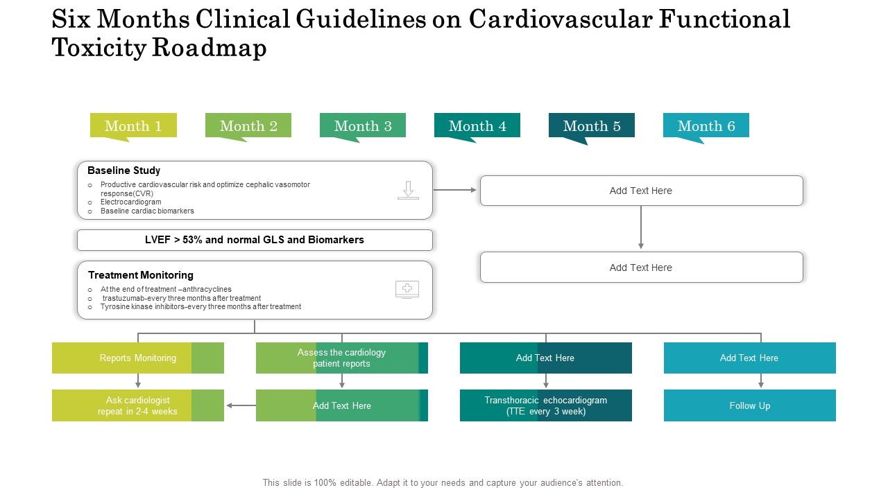 Six_Months_Clinical_Guidelines_On_Cardiovascular_Functional_Toxicity_Roadmap_Inspiration_Slide_1.jpg