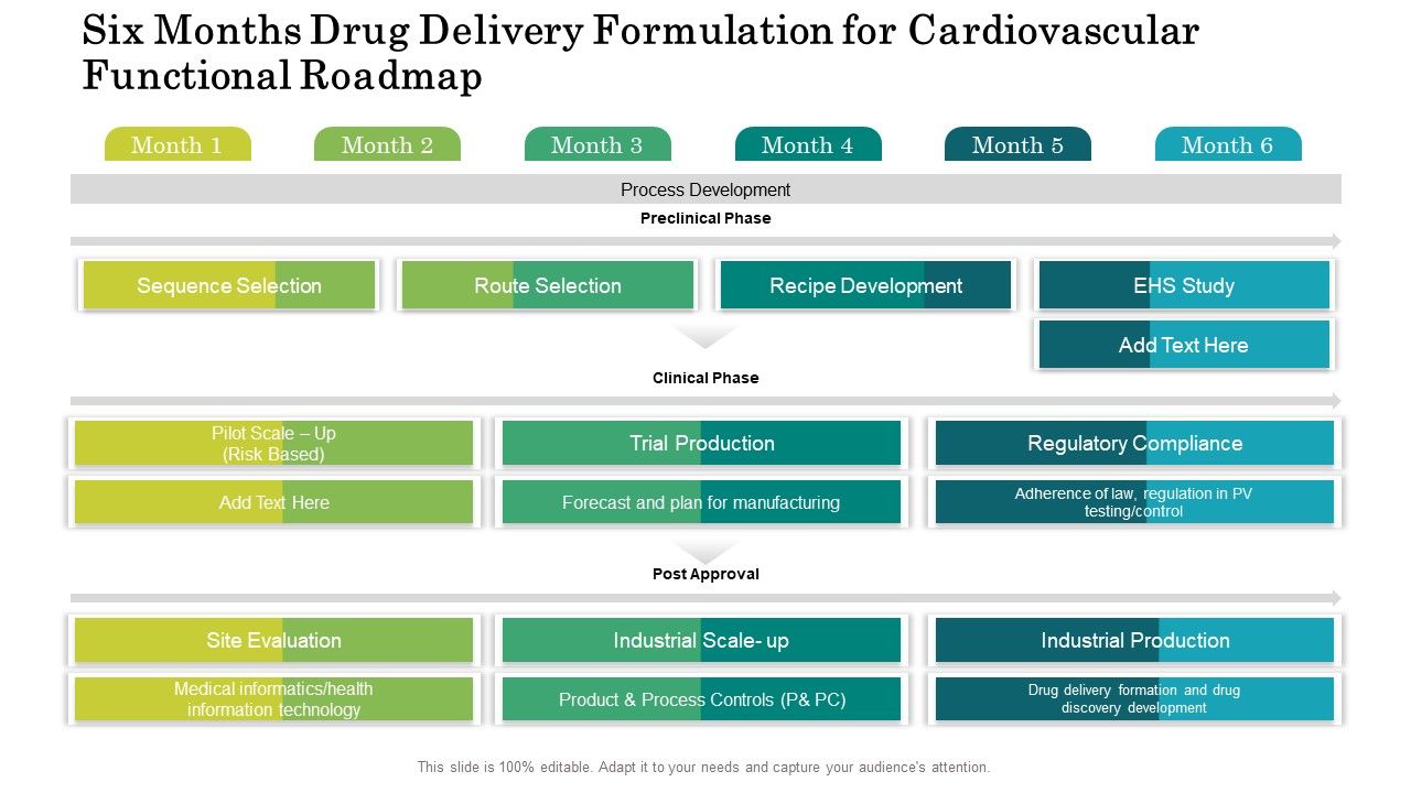 Six_Months_Drug_Delivery_Formulation_For_Cardiovascular_Functional_Roadmap_Template_Slide_1.jpg