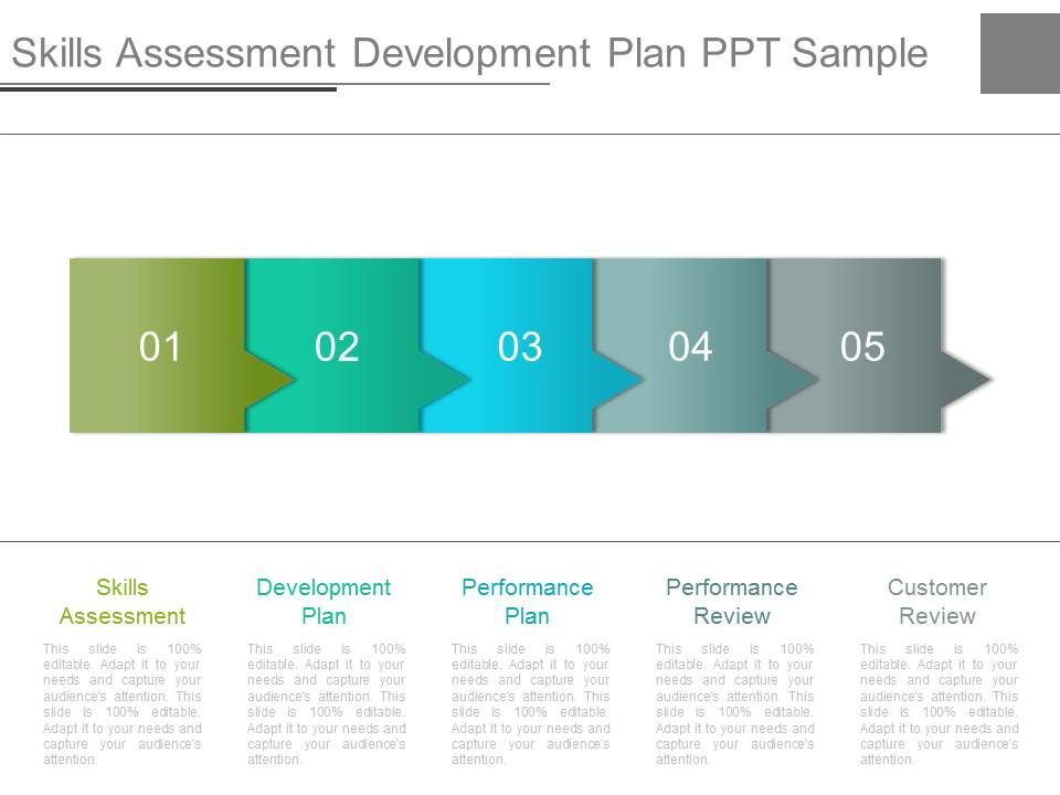 Skills_Assessment_Development_Plan_Ppt_Sample_1.jpg