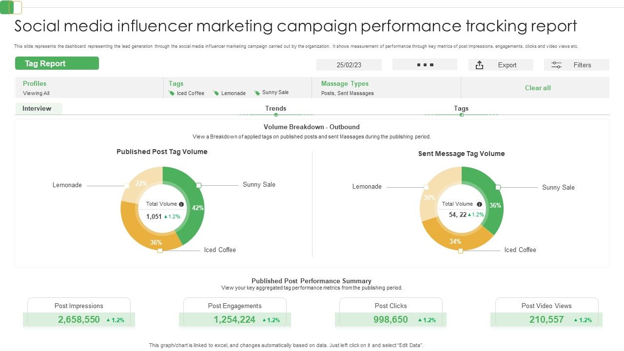 Social_Media_Influencer_Marketing_Campaign_Performance_Tracking_Report_Ppt_PowerPoint_Presentation_File_Backgrounds_PDF_Slide_1.jpg