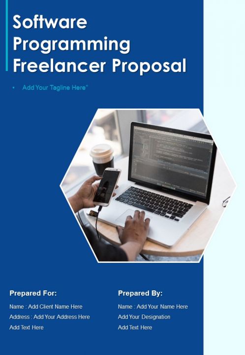 Software Programming Freelancer Proposal Example Document Report Doc Pdf Ppt Slide01