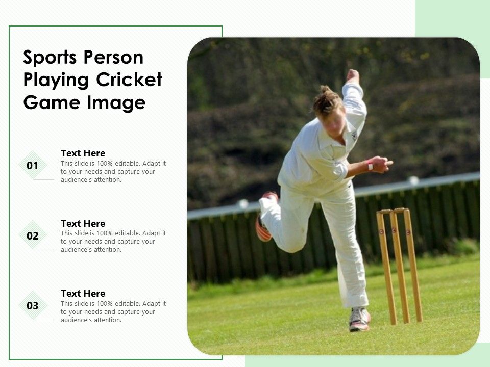Sports_Person_Playing_Cricket_Game_Image_Ppt_PowerPoint_Presentation_File_Summary_PDF_Slide_1.jpg