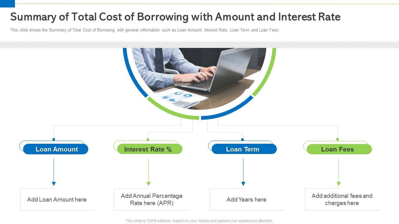 Summary_Of_Total_Cost_Of_Borrowing_With_Amount_And_Interest_Rate_Information_PDF_Slide_1.jpg