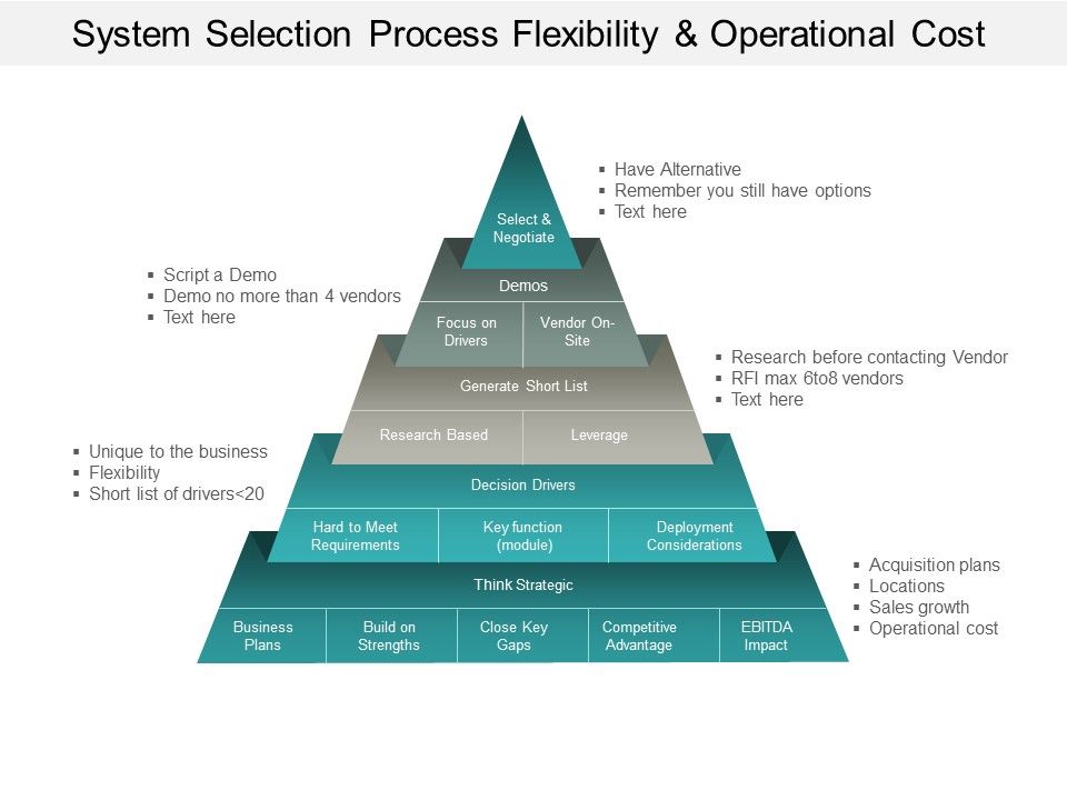 System_Selection_Process_Flexibility_And_Operational_Cost_Ppt_PowerPoint_Presentation_Professional_Ideas_Slide_1.jpg