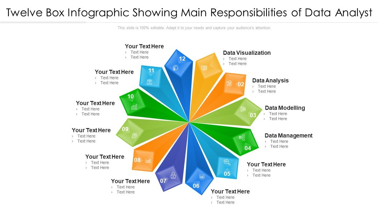Twelve_Box_Infographic_Showing_Main_Responsibilities_Of_Data_Analyst_Ppt_PowerPoint_Presentation_File_Show_PDF_Slide_1.jpg